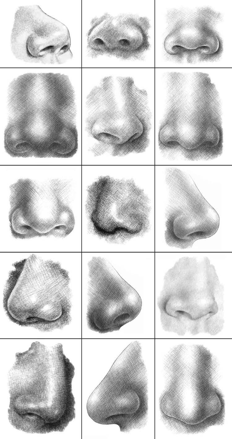 2 INTRODUCTION Noses come in an infinite array of shapes and sizes. When drawing a face, you need to closely observe your subject s nose to determine the shapes of its individual parts.