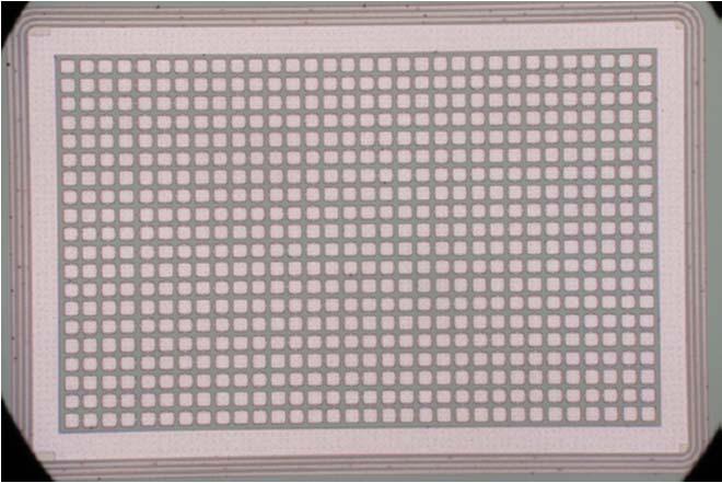 chip form factor, made of: 2 long columns of 128 pixels 2 short columns with 32 pixels as reference Triple