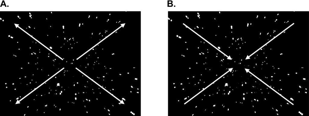 Bonato et al. 285 Figure 1. The stimulus pattern used in Experiment 1 either steadily expanded from the center of the screen (A) or alternately expanded and contracted (A & B).