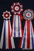 2015 BEST IN SHOW WINNERS This award promotes the human/dog relationship, as it relates to conformation to the breed standard, and showmanship, as well as demonstrates the competiveness of the