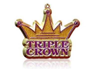 2015 TRIPLE CROWN AWARD WINNERS This award promotes the human/dog relationship and demonstrates the versatility of the Miniature Pinscher, competing and earning titles in all venues, meaning