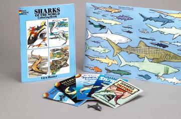 Fun Kits TM RECENT RELESES Sharks Fun Kit Fascinating facts and fun about the sea s