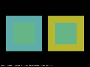 simultaneous color contrast color assimilation 43 44 from