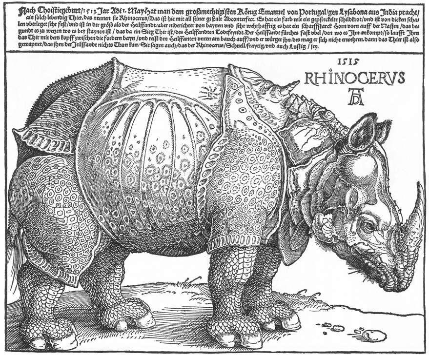 Woodcut Examples Albrecht Durer The Rhinoceros 55 Woodcut