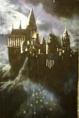 Potter (3) 3mx5m Harry