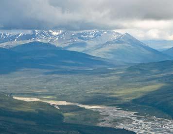 Wilderness Icon: Arctic National