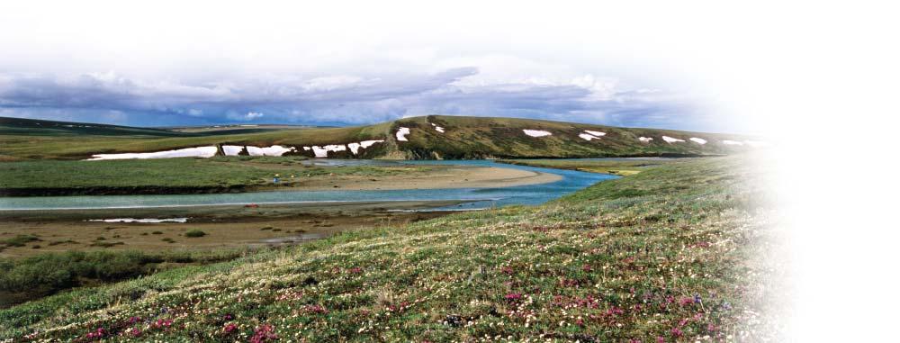 Millions of migratory birds, caribou and other wildlife, as well as many Alaska Native