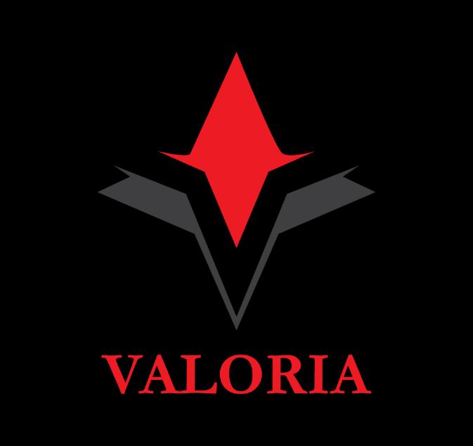 Valoria Business Solutions SRL Training I Consultanță I Coaching Elena Badea,