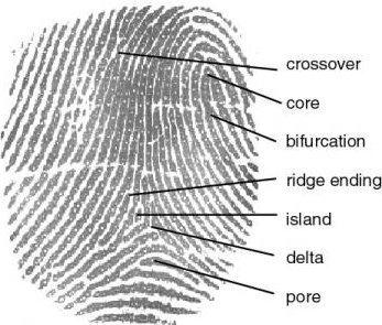 Advances in Networks, Computing and Communications 4 A total of five biometric techniques were involved in the trial, three of which were physiological (face, fingerprint, and iris) and two