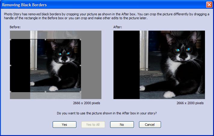 After you have removed the boarders of your picture, or adjusted your picture accordingly, you can choose from one of the following options: 1.