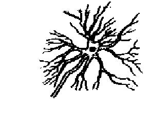 Dendrites Nucleus Axon