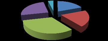 3,86% 24,67% 19,19% Profesor 20,10% Conferențiar Șef lucrări 32,18% Asistent Preparator Figura 3.