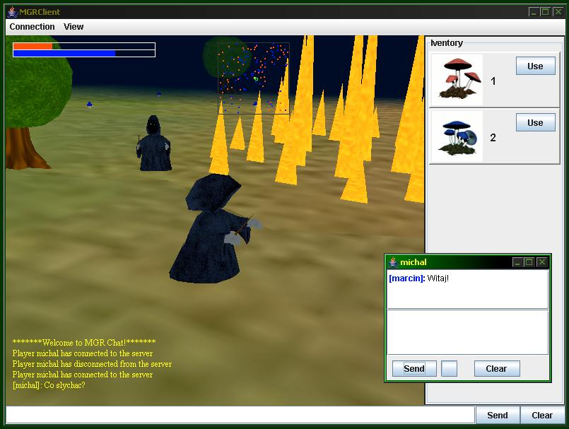 Client application Java + Java3D Actions: moving collecting