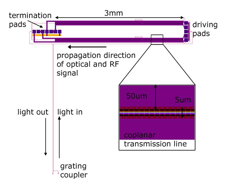 Fig. 7. Die pattern used in testing photodetector and ring modulator characterization. 5.