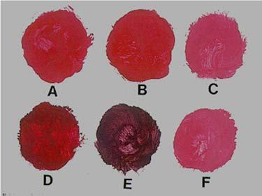 Kermes, Cochineal Carmine Sources of atural Dyes