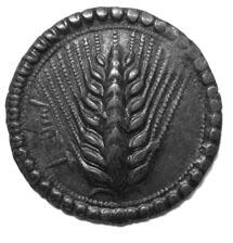 2 Silver stater of Metapontum Metapontum, 540 510 b.c. 29 mm 2001.87.456 3 Silver stater of Caulonia Caulonia, 525 500 b.c. 30.
