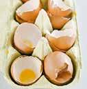 1 3 5 Which of these items can be composted, or turned into natural fertilizer, for your garden A. eggshells B. golf balls C.