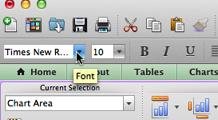 at the top of the window. Change the font to Times New Roman and the size to 10.