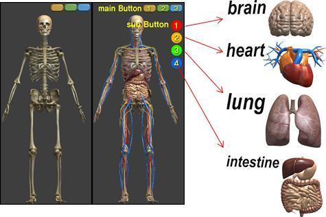 Figure 11. Screen Transition of 3D Virtual Environment Figure 12. 3D Objects of Organs Figure 13. Interaction Image of 3D Organs Figure 14. The Result of our System 4.