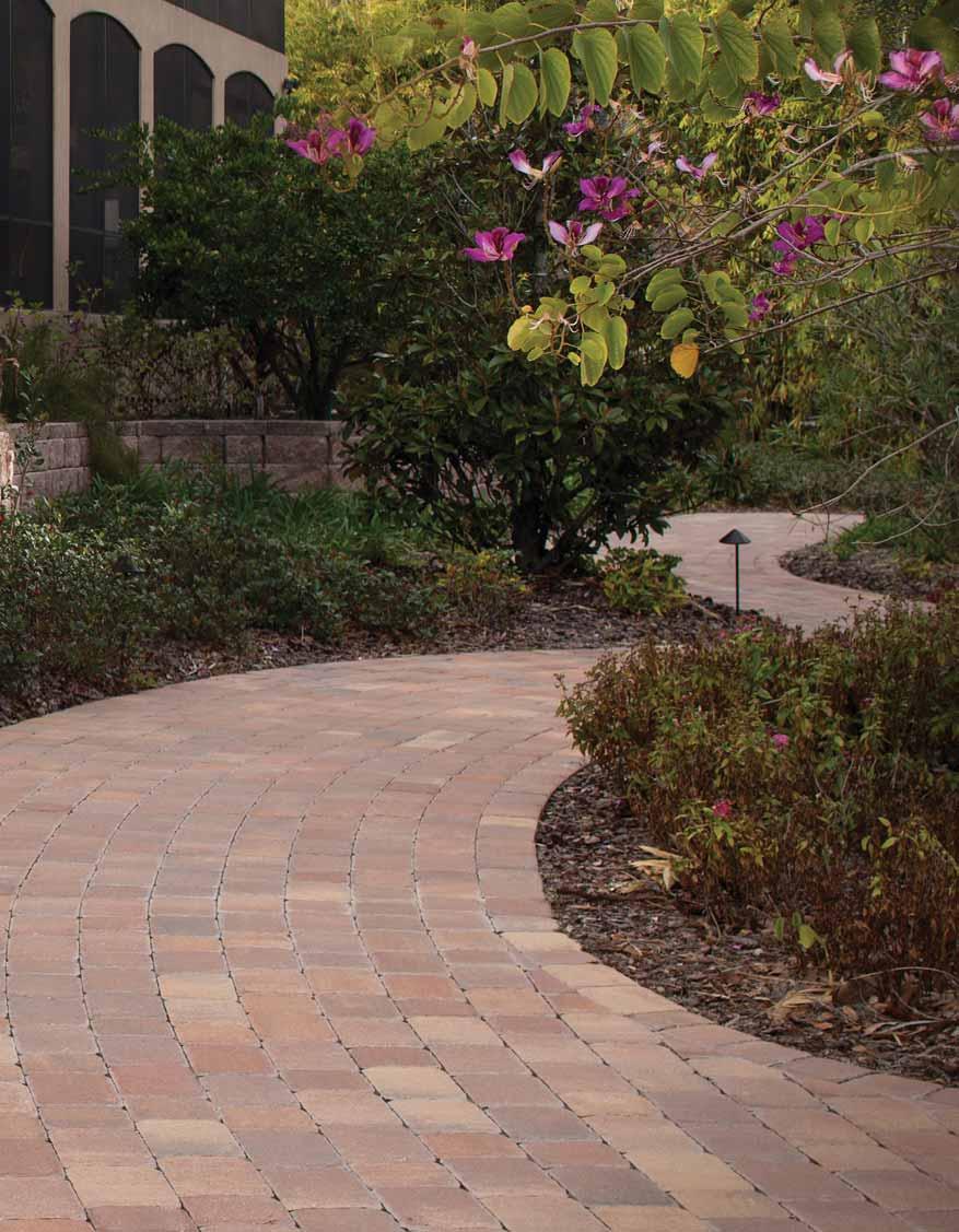 Walkways Create a warm and welcoming path for your guests with Belgard s wide variety of shapes, sizes and colors.