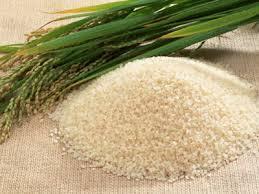 lãi suất mua gạo dự trữ tạm thời, bồi thường lỗ xuất