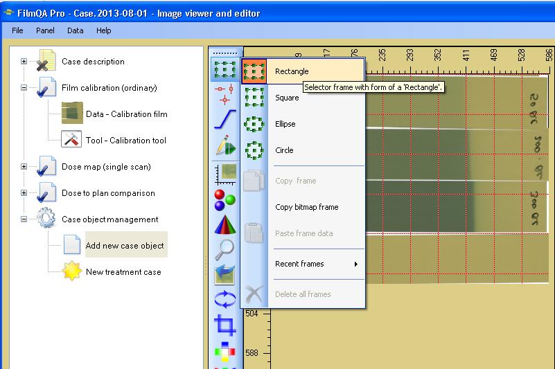 Step E5: Click the Selection Frame Tool at the top of the toolbar and draw regions of interest