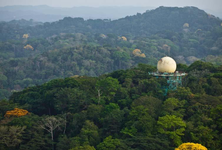 The Canopy Tower lounge and observation deck are ideal places to set your tripod and camera in comfort, while a variety of monkeys, sloths, iguanas and birds are close enough for great eye-level