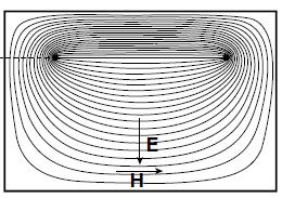 The waves propagating along the septum are characterised by electric and magnetic fields that are transverse to the direction of propagation.