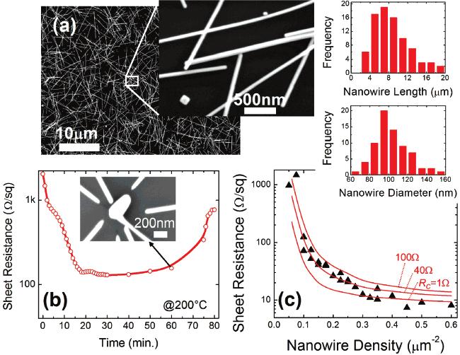 Figure 3. (a) SEM images of an Ag nanowire mesh on a silicon substrates. The Ag nanowire length and diameter histogram is also shown.