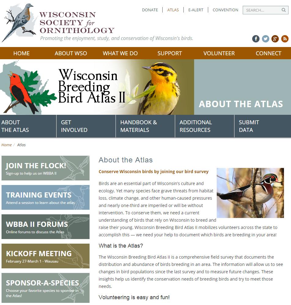 Resources for atlasers Website: wsobirds.