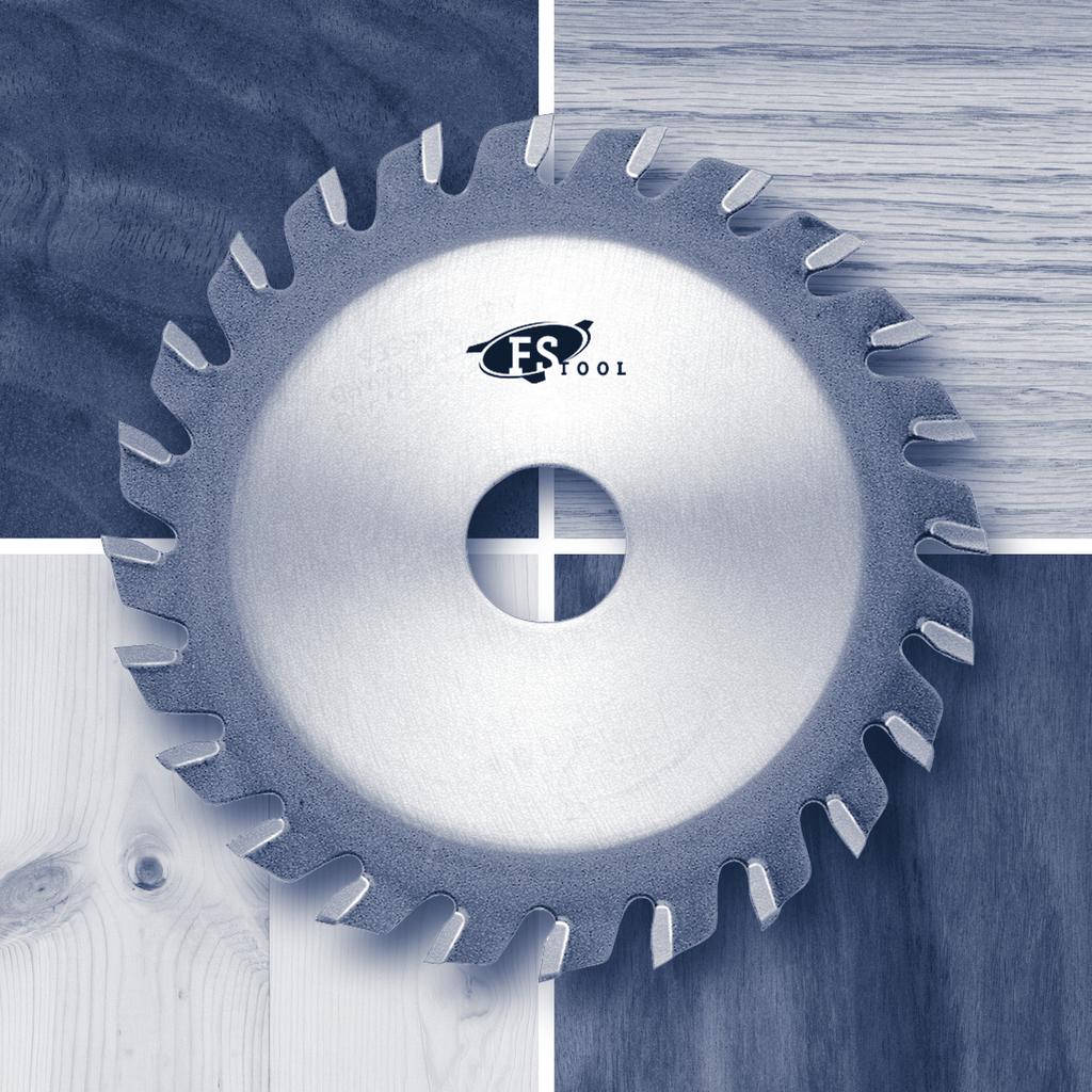 PROFESSIONAL LINE SAW BLADES FS Tools wide range of Pro-Line Saw Blades have been specifically designed for portable machines and stationary table saws.