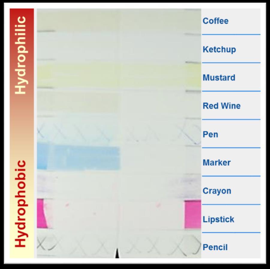 Staining of Consumer Paints Consumer paints are exposed to a variety materials that cause temporary or permanent staining Stains can be broadly classified into two groups : Hydrophilic - Wet Paint