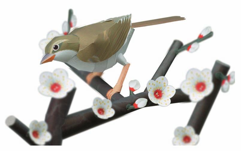 Assembly Instructions Thank you for downloading this paper craft model of the Plum blossoms and a Japanese bush warbler.