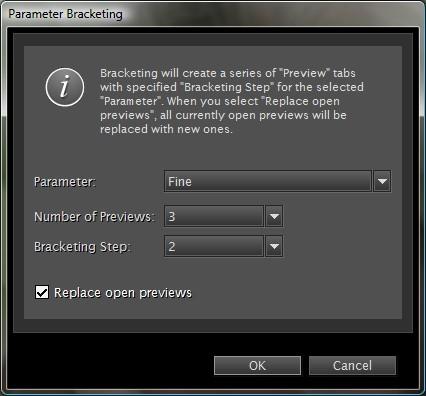 Advanced Use Bracketing In addition to creating custom multiple previews, Portraiture provides an automated bracketing feature for quickly generating a series of previews for various filter settings.