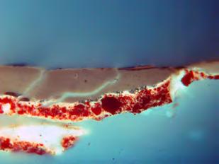 At 500x magnification, in visible and uv examination of the cross-sections several layers of finish are visible. The bottom layer appears to be a red pigment in a resin binder.
