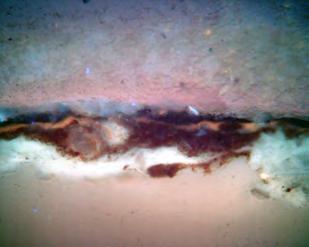 A sample from the dressing table was also taken. The bottom layer appears to be a resin. Followed by a red-pigmented layer, a coating of shellac and an oil containing layer on the surface. Figure 5.