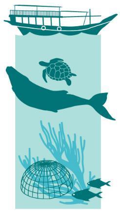 Marine conservation is a shared responsibility across public and private sectors.
