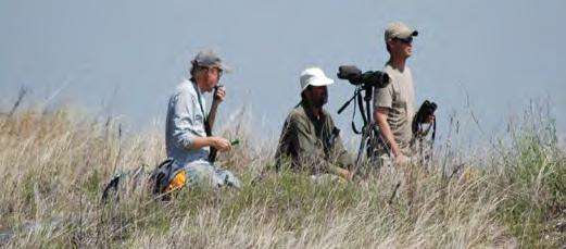 collaborators at the US Fish and Wildlife Service (USFWS), the Delaware Museum of Natural History (DMNH), the British