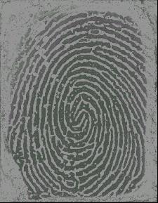 Resolution of Fingerprint Images Pores can be observed.