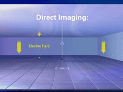 FFDM Digital Imaging Detector Large