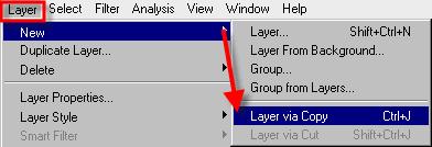 Note: You can also make the copy of the head, by going to Layer > New > Layer via Copy(Ctrl+J) instead of dragging it to a new window, and it will be on its own layer.