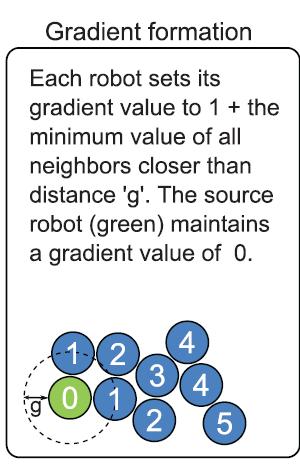 Algorithms Gradient Formation Individual robots can measure distances between each other;