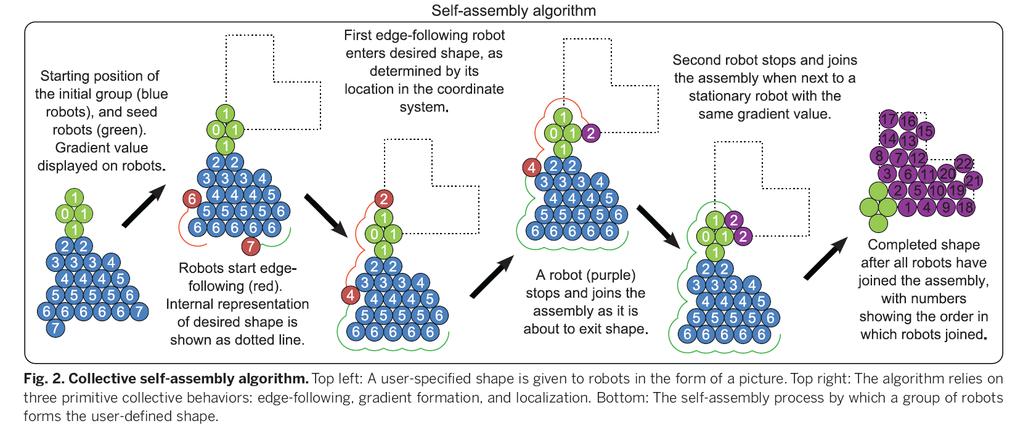 Algorithms Self Assembly Algorithm Any single robot is talking to a small number of robots nearby it, using