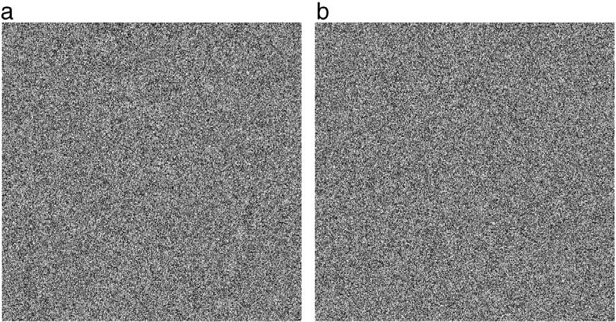 0034 Table 4 Correlation of horizontal, vertical and diagonal adjacent pixels in two images using RSA cryptosystem. Plain Lena image Scrambled image Horizontal 0.9936 0.00240 Vertical 0.9731 0.