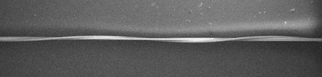 Au-coated 2 µm Au-coated 2 µm Fig. S8.