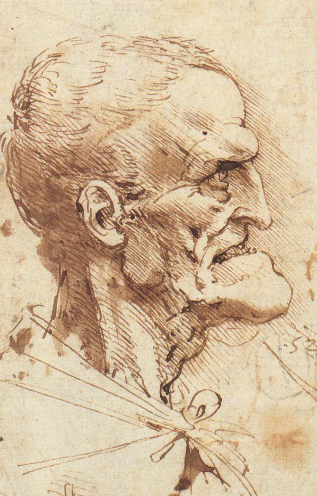 Leonardo is best known and widely celebrated as a genius and pioneer within various disciplines of visual art including drawing, painting, and sculpting.