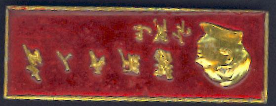 Description: Rectangular pin. Red, with raised gold edge, script and left profile of Mao.