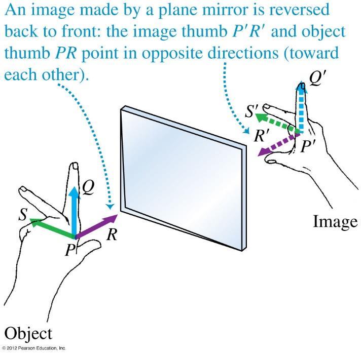 Mirror Symmetry A mirror does one important thing to the image of an object. It reverses it back to front.