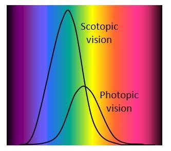 Light, colour and human eye The spectral response of