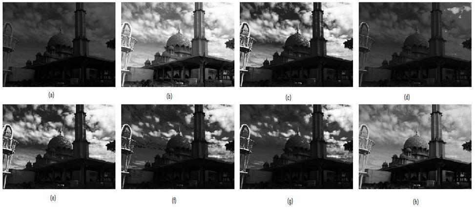 Fig 3: Visual Inspection of Mosque image: (a) Original, (b) HE, (c) BBHE, (d) MMBEBHE, (e) DSIHE, (f) RSIHE, (g) RMSHE and (h) ISIHE Table-1 Resultant Entropies of different methods Images Original